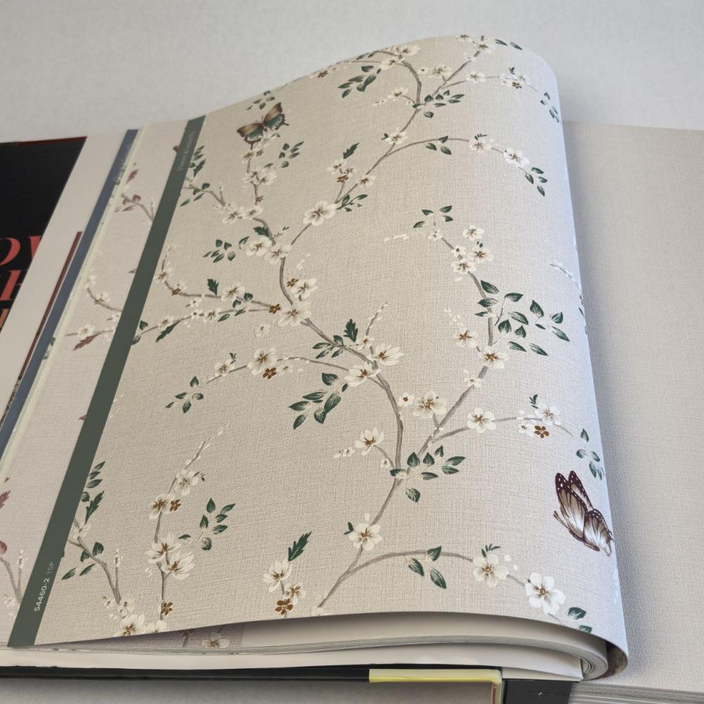 Andrea Rossi Spectrum Box 54460-2