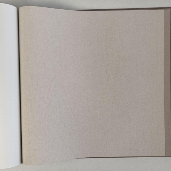 Alessandro Allori Bruni RBN 1004-8