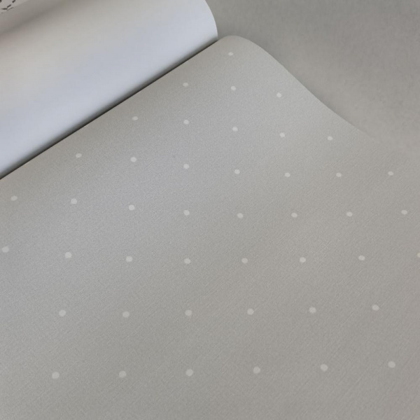 Andrea Rossi Spectrum Box 54454-8