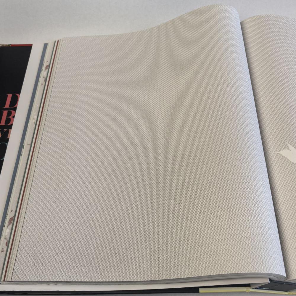 Andrea Rossi Spectrum Box 54457-3