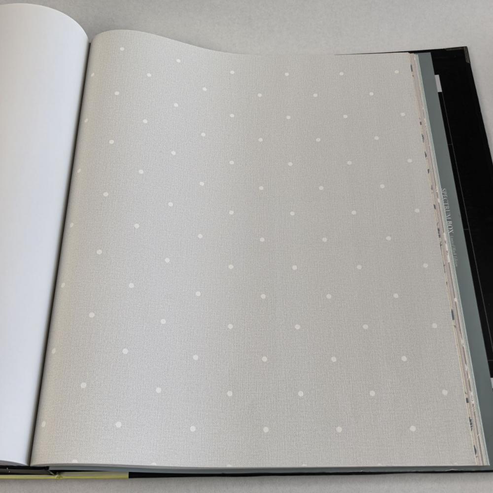 Andrea Rossi Spectrum Box 54454-8