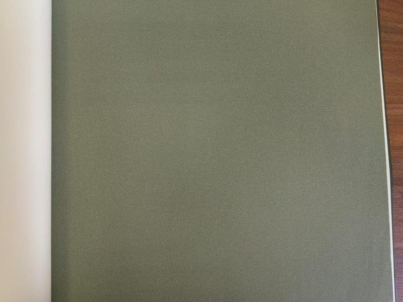 Andrea Rossi Spectrum Plus 54355-9