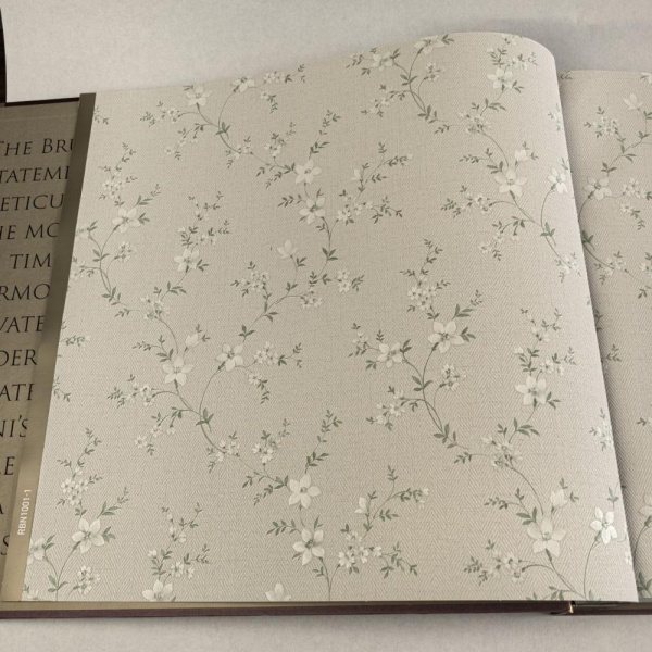 Alessandro Allori Bruni RBN 1001-1