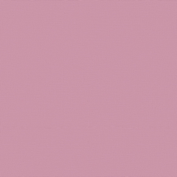 Erismann Casual Chic  ER 12143-05
